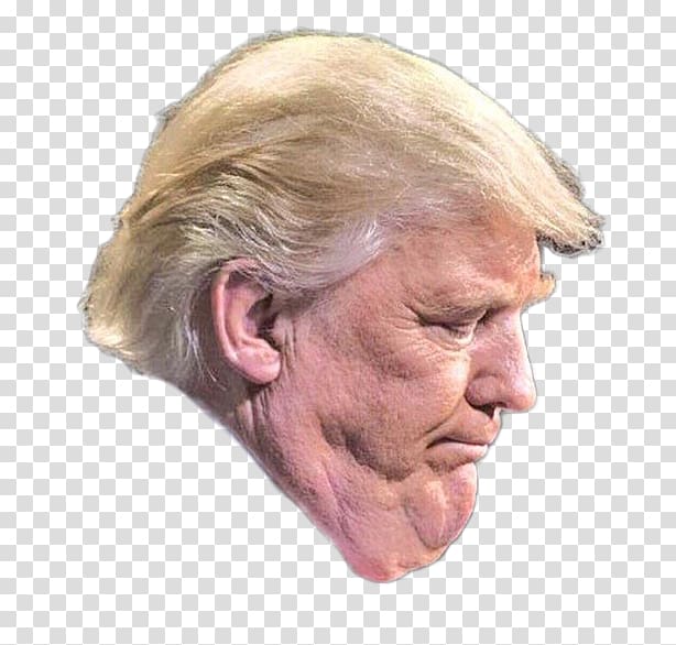 Donald Trump Trump Tower United States, donald trump transparent background PNG clipart