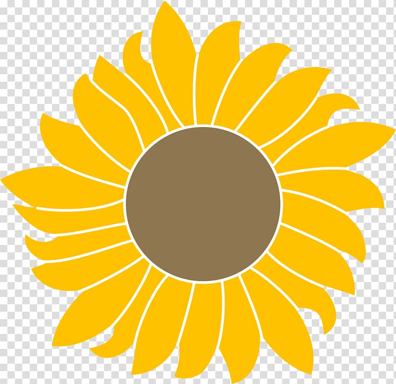 Common sunflower Sunflower seed AutoCAD DXF, Girasoles transparent background PNG clipart