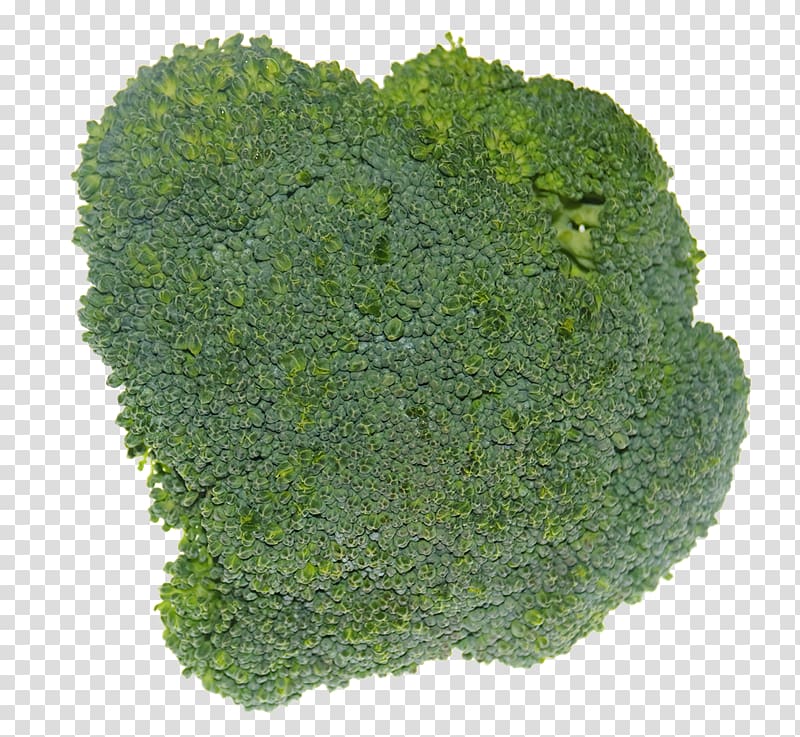 Broccoli Scape GIMP Food, brocoli transparent background PNG clipart