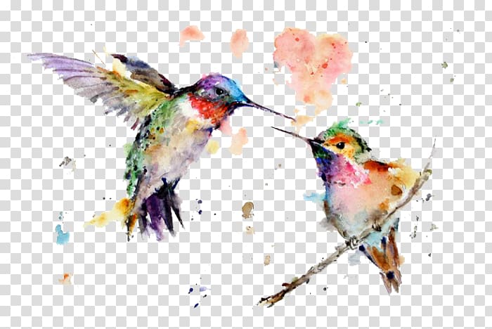 Hummingbird Watercolor painting Art Drawing, painting transparent background PNG clipart