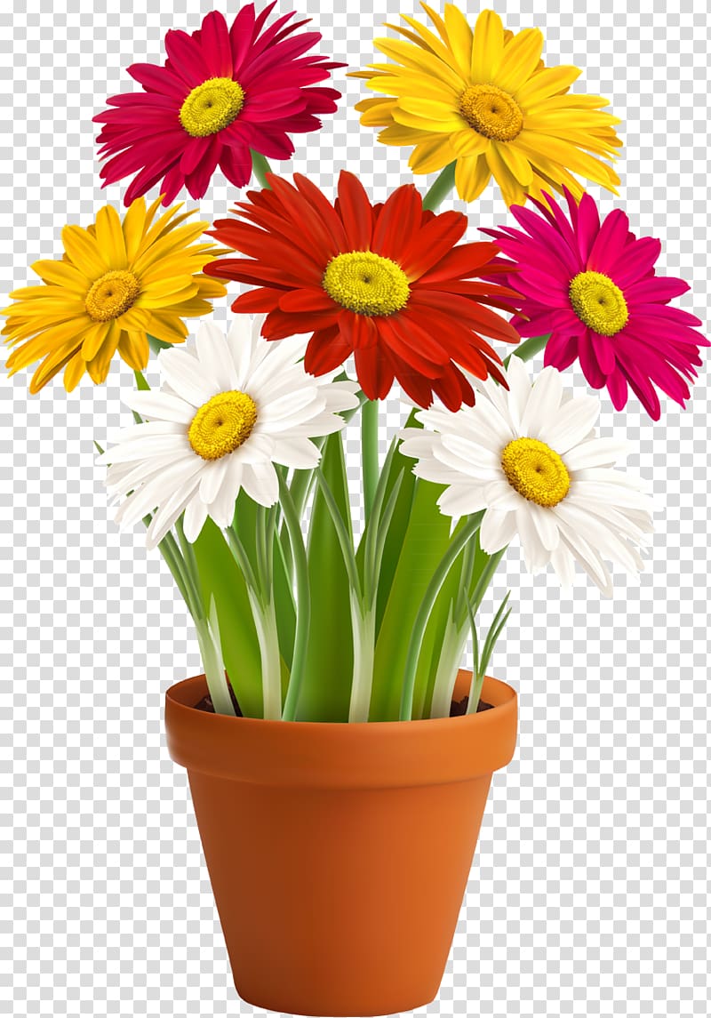 Flowerpot Vase Houseplant, chamomile transparent background PNG clipart