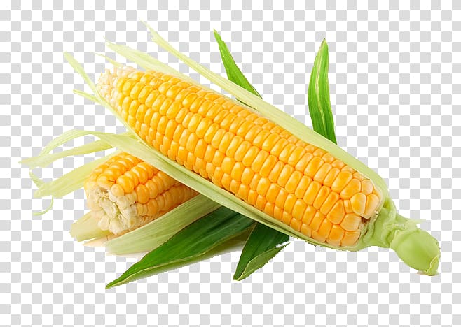 Maize Sweet corn Display resolution , corn transparent background PNG clipart