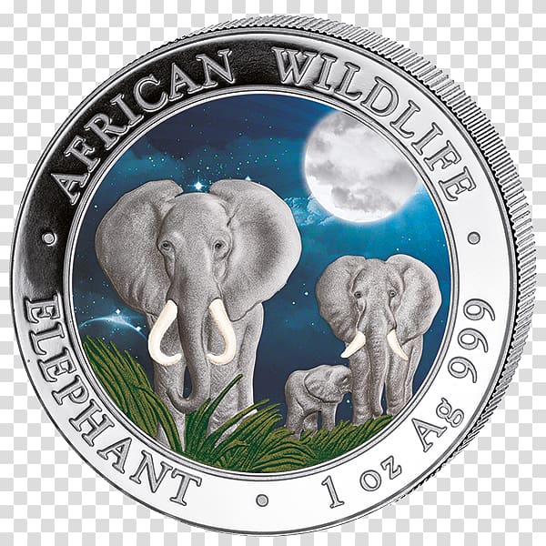 Indian elephant Coin Somalia African elephant Elephantidae, variation elephant transparent background PNG clipart