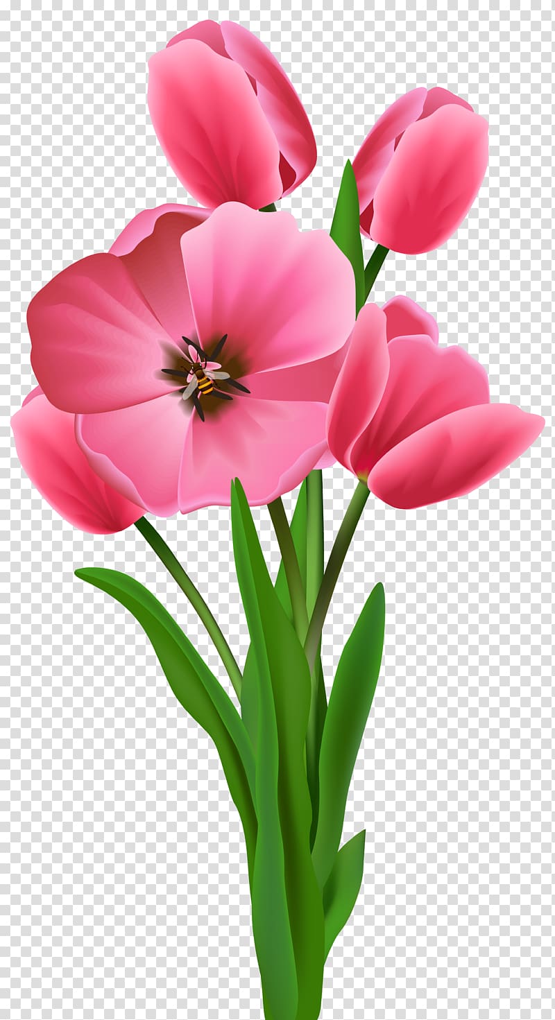 Wish Morning YouTube Good Drawing, spring flowers transparent background PNG clipart