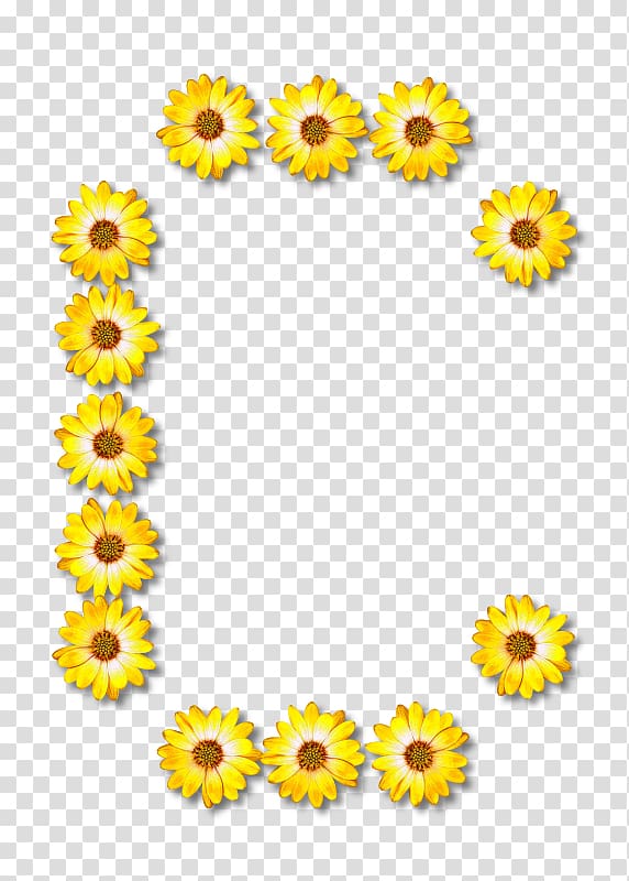 Alphabet Common sunflower Letter, Letter floral transparent background PNG clipart