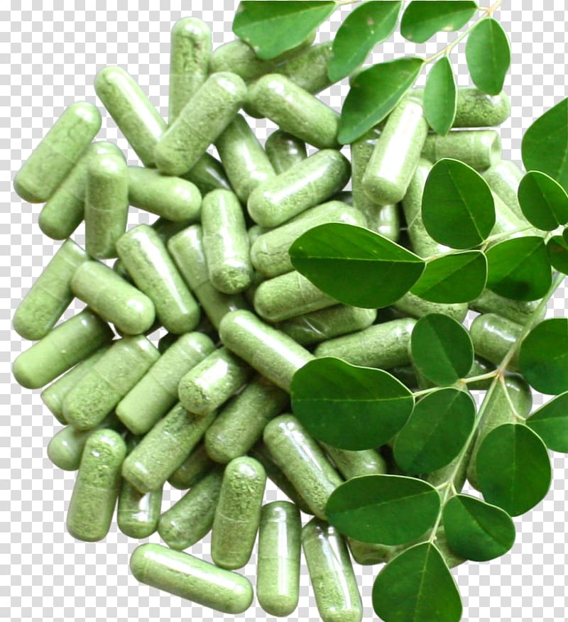 Drumstick tree Capsule Herb Tablet, moringa transparent background PNG clipart