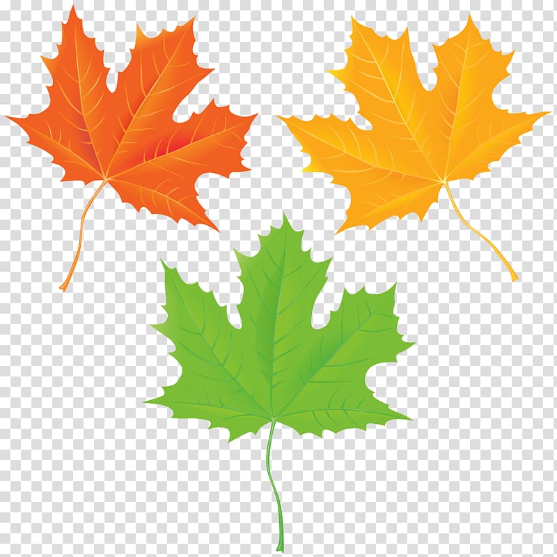 graphics Portable Network Graphics, Raking leaves transparent background PNG clipart