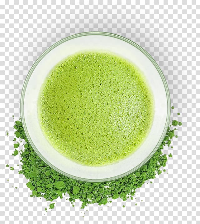 green tea powder surrounded by white ceramic teacup, Green tea Matcha Coffee Caffeine, matcha transparent background PNG clipart