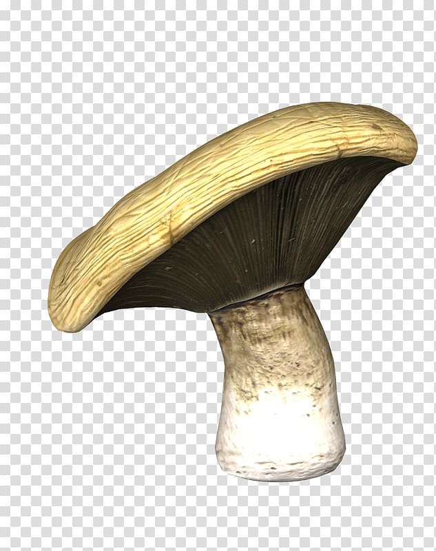 Agaricaceae, design transparent background PNG clipart