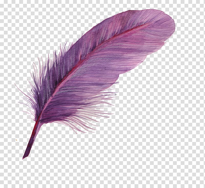 Feather Pen Quill Encapsulated PostScript, feather transparent background PNG clipart