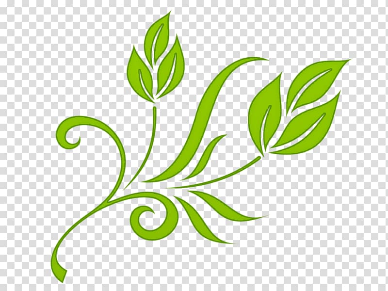 Quran Surah Yusuf, green floral transparent background PNG clipart