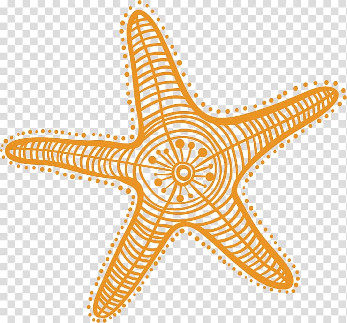 Starfish Drawing Cartoon , Cartoon Starfish transparent background PNG clipart