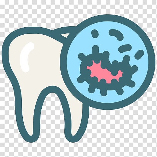 Dentistry Human tooth Oral hygiene, Tooth transparent background PNG clipart
