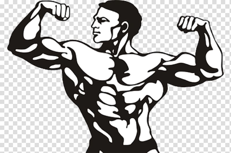 Bodybuilding Drawing , bodybuilding transparent background PNG clipart