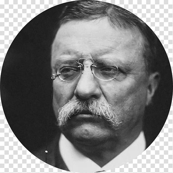 Theodore Roosevelt White House President of the United States United States Presidential Inauguration Republican Party, white house transparent background PNG clipart