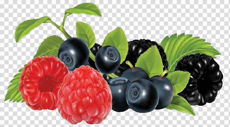 Frutti di bosco Blackberry Fruit , blueberry transparent background PNG clipart