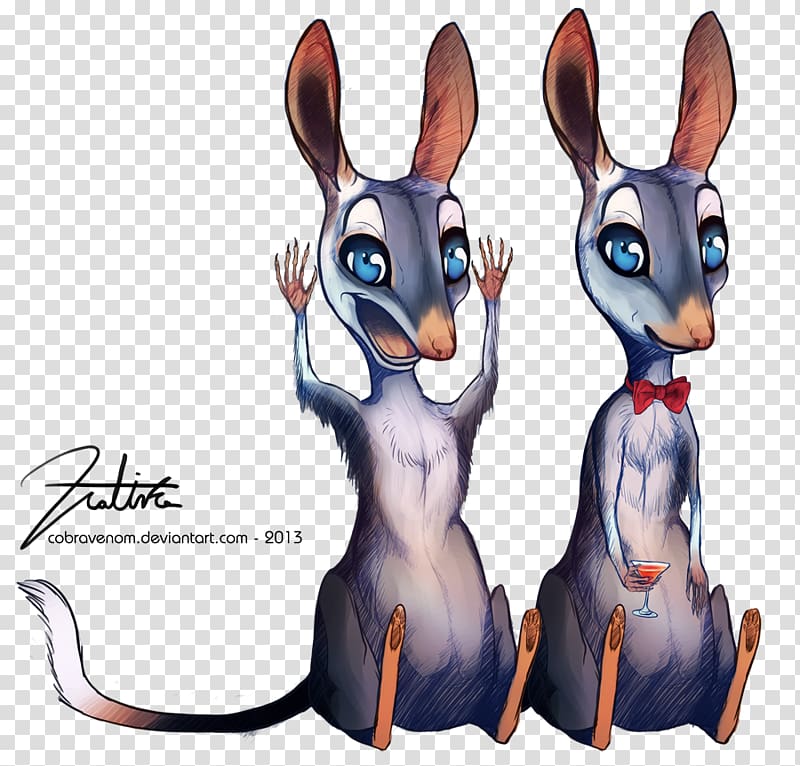 Domestic rabbit Hare Macropodidae Kangaroo, kangaroo transparent background PNG clipart