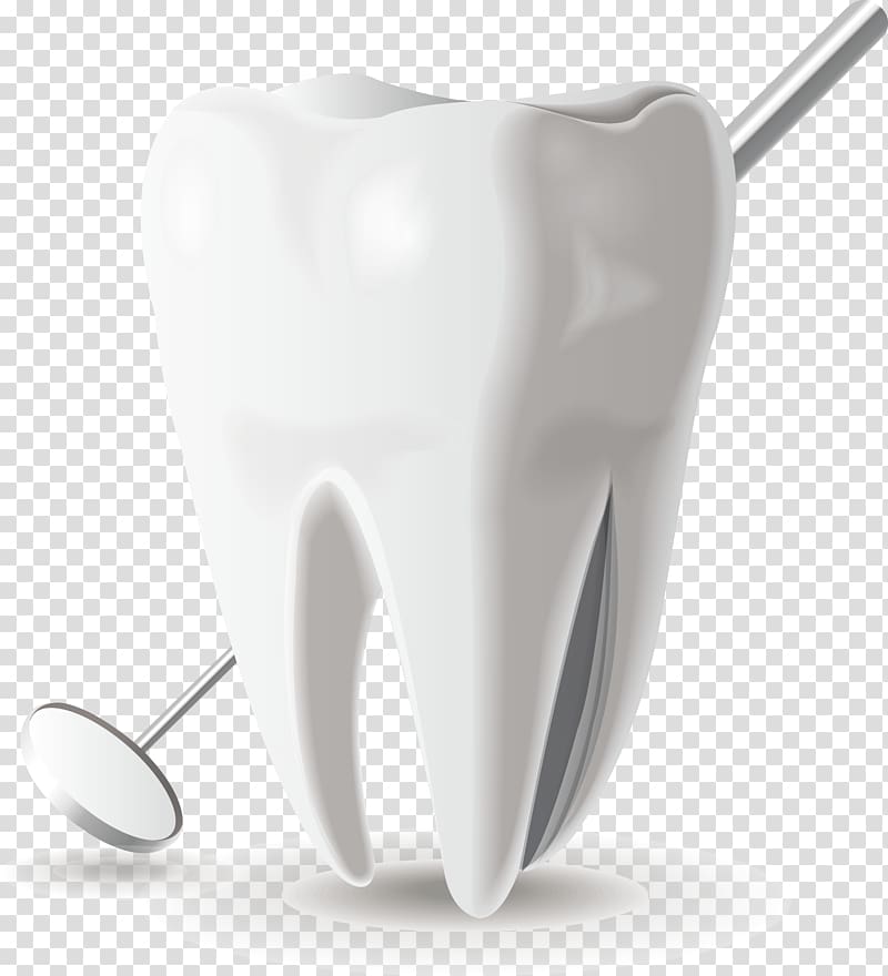 tooth illustration, Tooth Euclidean Mouth, Medical dental model icon transparent background PNG clipart