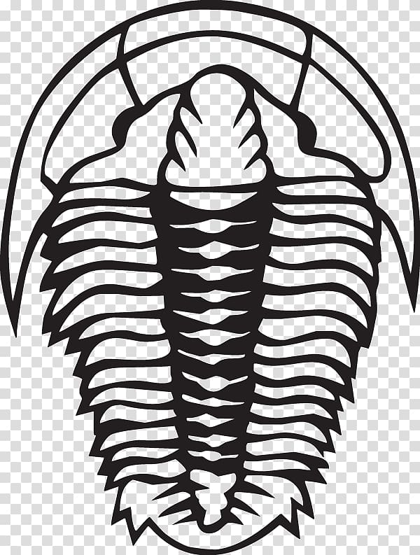 Trilobite Fossil , others transparent background PNG clipart