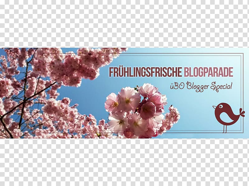 Blogger Fashion blog Google March Equinox, hello spring transparent background PNG clipart