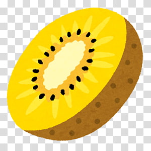 Kiwifruit Actinidain Food いらすとや Others Transparent Background Png Clipart Hiclipart
