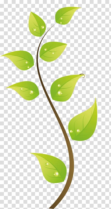 Green Leaf , Green leaves transparent background PNG clipart