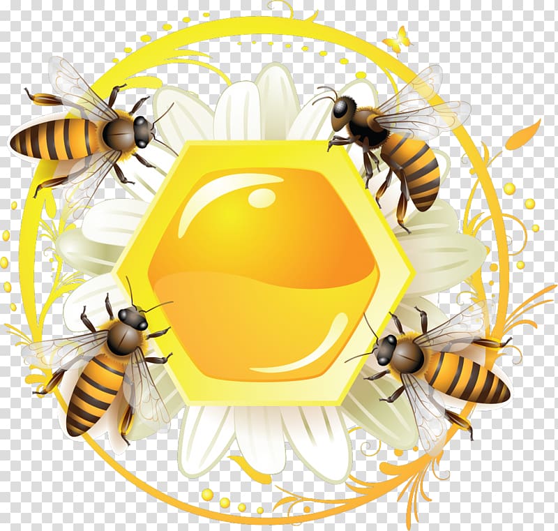 Western honey bee Label, bee transparent background PNG clipart