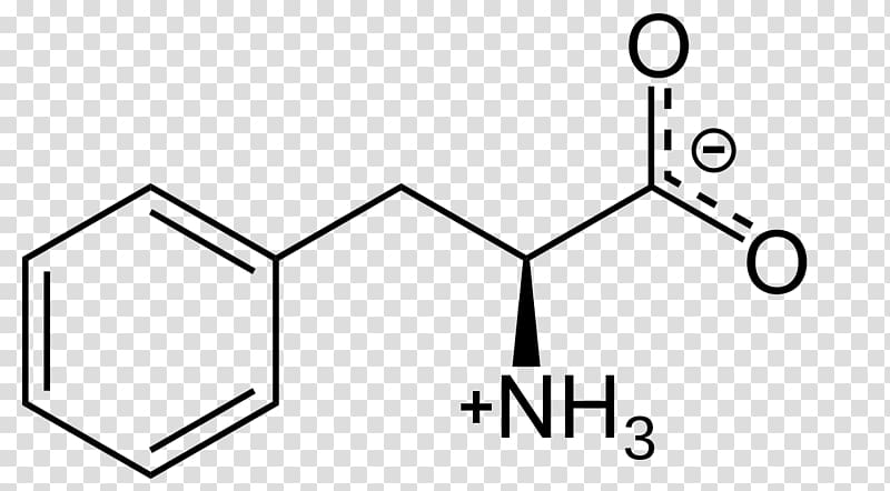 Levodopa Tyrosine Phenylalanine Phenylketonuria Amino acid, Phenylalanine Racemase transparent background PNG clipart