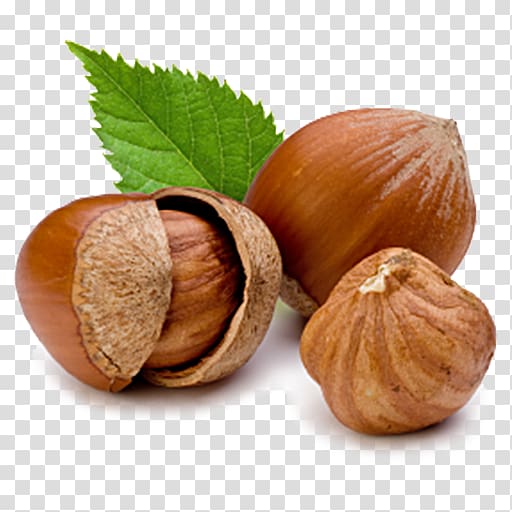 Hazelnut Filbert Common hazel Raw foodism, others transparent background PNG clipart