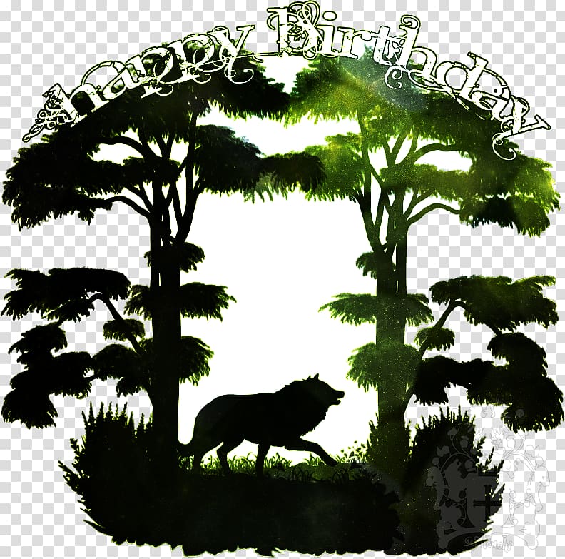 Bear Font, 14 August transparent background PNG clipart