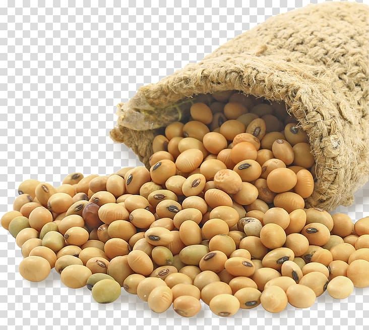 brown beans on brown sack, Soybean Food Price United States Dollar Bushel, beans transparent background PNG clipart