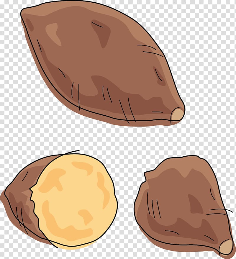 Sweet potato Illustration, Hand painted sweet potato transparent background PNG clipart