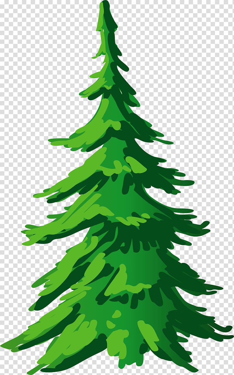 Christmas tree Spruce Pine Fir , christmas tree transparent background PNG clipart