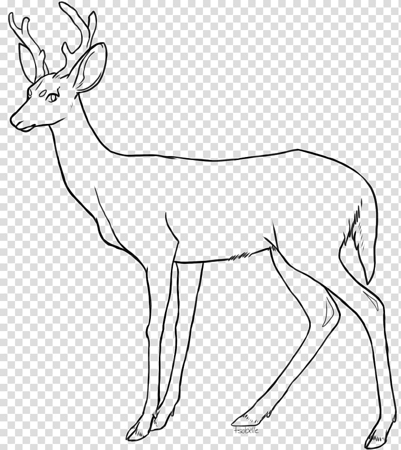 free deer clipart on black background