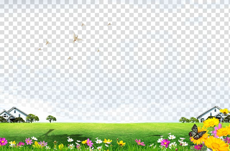 baiyun grass transparent background PNG clipart