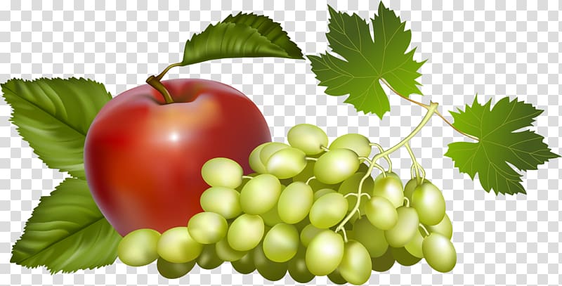 Fruit hat Drawing Grape, pomegranate transparent background PNG clipart