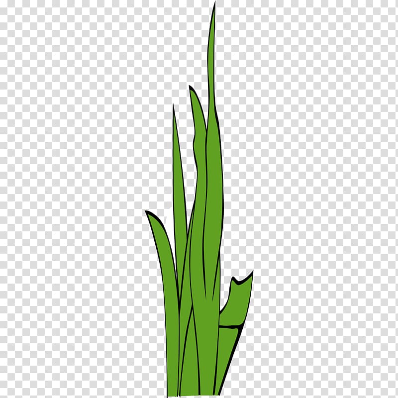 Grasses , Clump transparent background PNG clipart