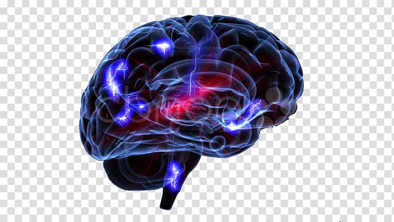 Brain Storms: The Race to Unlock the Mysteries of Parkinson's Disease Brain Storms: Surviving Catastrophic Illness Neurology Medicine, Brain transparent background PNG clipart