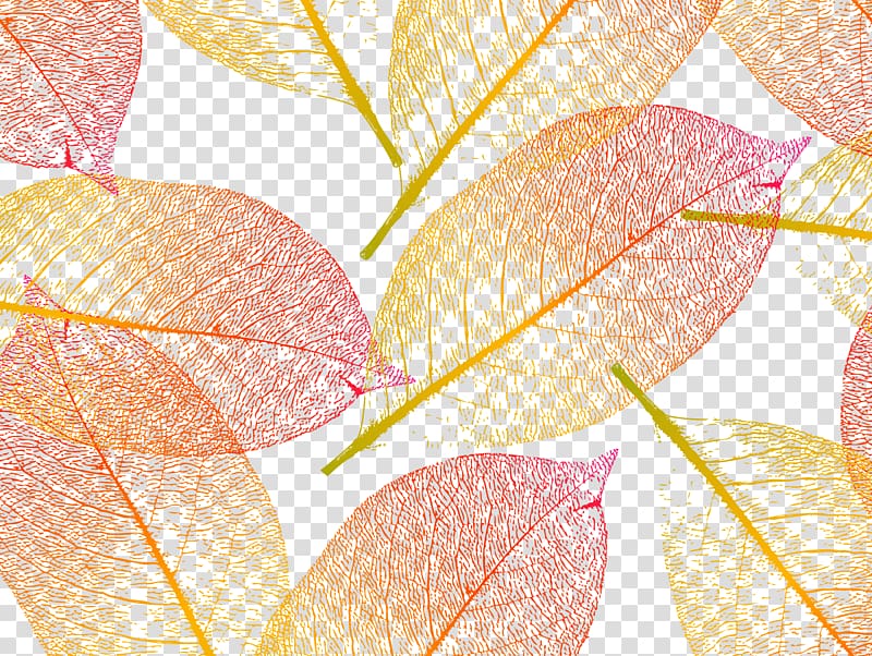 red and yellow leaves illustration, leaf shading transparent background PNG clipart