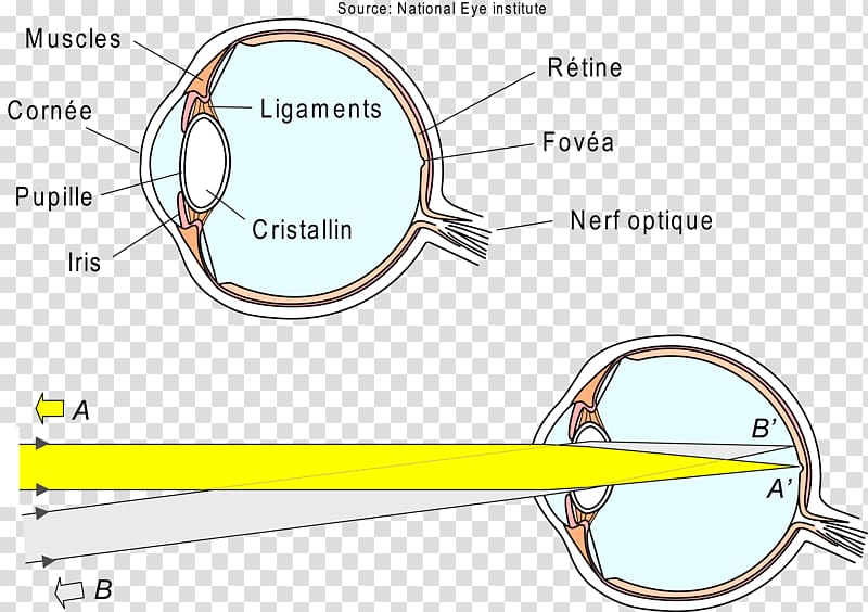 Light Eye Refraction Retina Visual perception, light transparent background PNG clipart