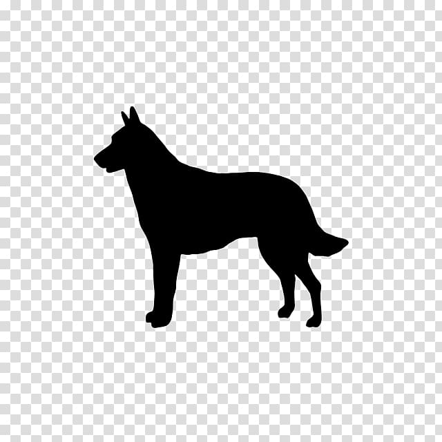 Malinois dog Belgian Shepherd German Shepherd Tervuren Laekenois, others transparent background PNG clipart