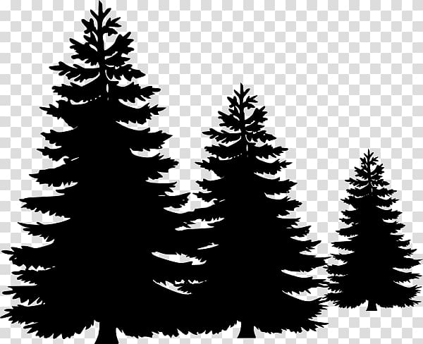 Pine Tree , Fir-Tree Pic transparent background PNG clipart