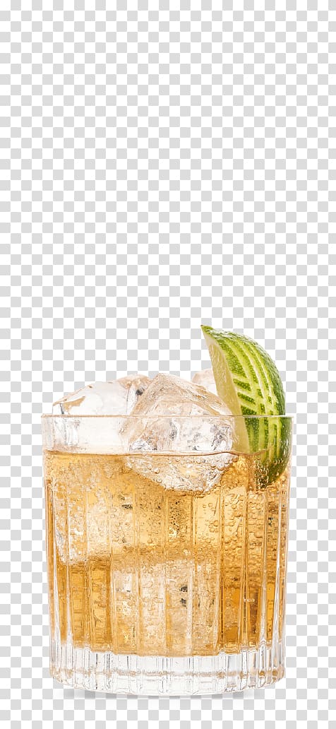 Mint julep Gin and tonic Cocktail Tonic water, Gin And Tonic transparent background PNG clipart