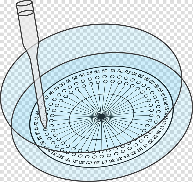 Product design Line Angle Font, cells under microscope transparent background PNG clipart