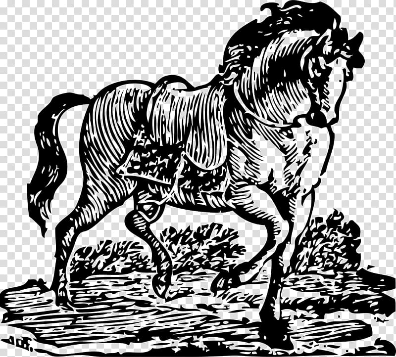 Horse Woodcut , stallion transparent background PNG clipart