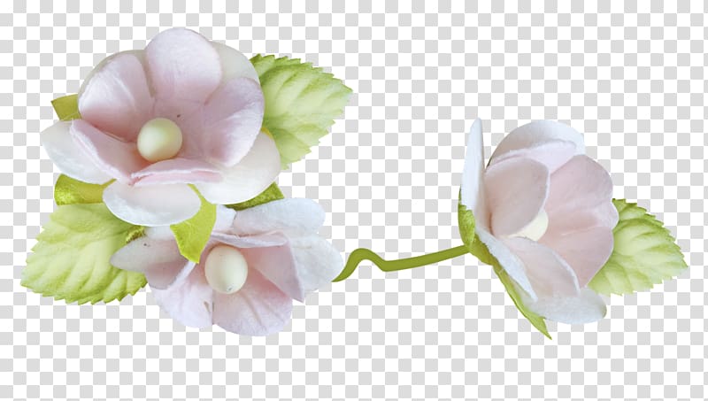 Neonate Child Albom , flor transparent background PNG clipart