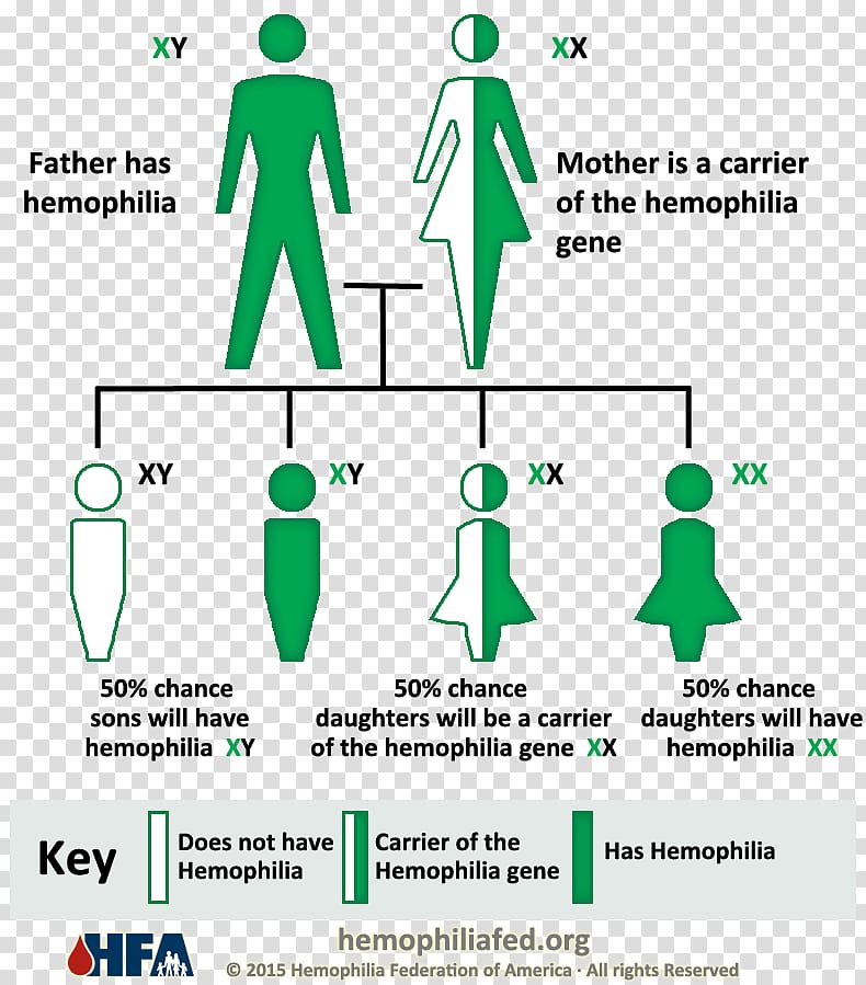 Haemophilia A Genetic disorder Haemophilia B Coagulopathy, blood transparent background PNG clipart