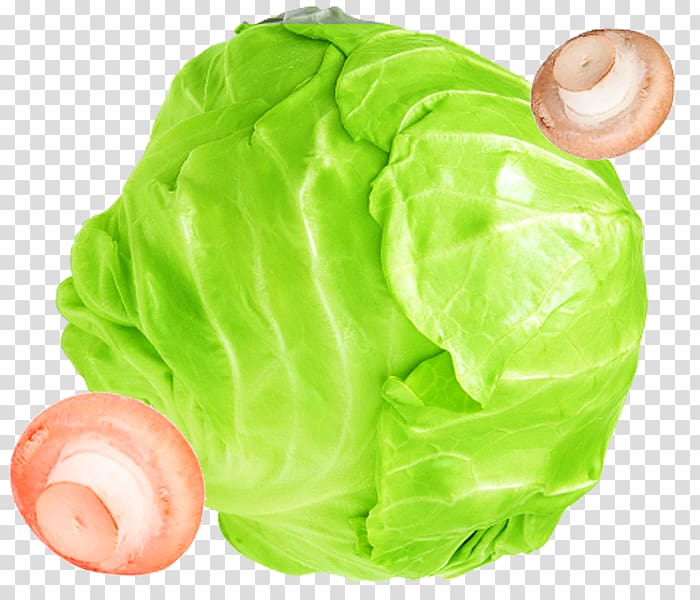 Israeli salad Fruit salad Cabbage Vegetable, Creative cabbage salad transparent background PNG clipart