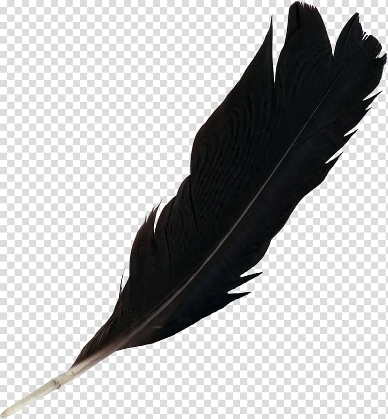 Feather Light, feather transparent background PNG clipart