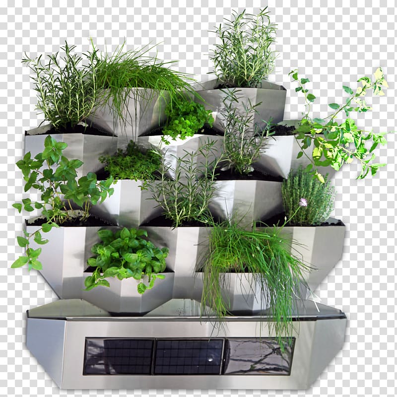 Flowerpot Garden Balcony Wall Green Ambassador GmbH, garden wall transparent background PNG clipart